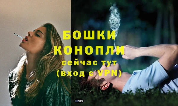 Альфа ПВП Богородск