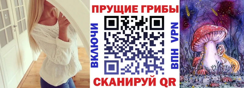 блэк спрут tor магазин продажи Макушино Галлюциногенные грибы мухоморы